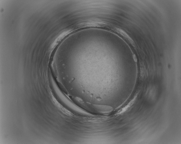 X0000068830938200605051233