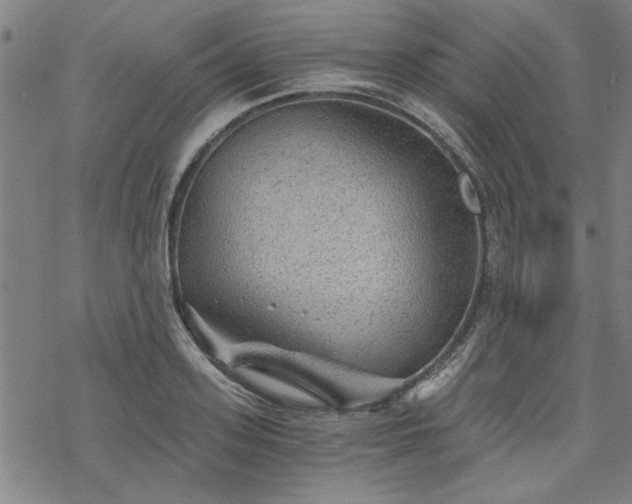 X0000068830939200605051233