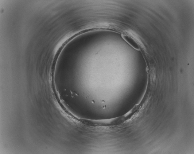 X0000068830944200605051233