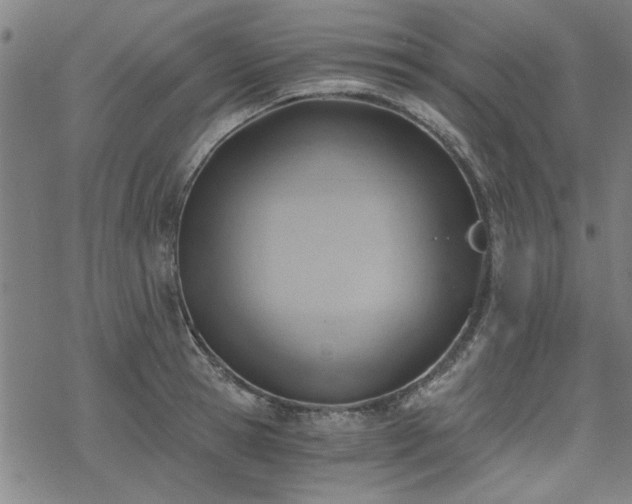 X0000068830945200605051233