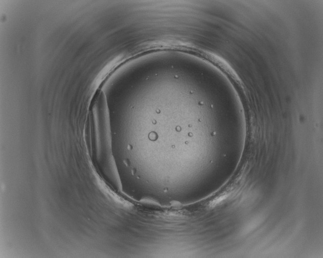 X0000068830946200605051233