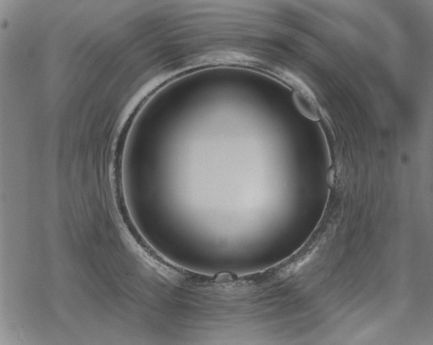 X0000068830947200605051233