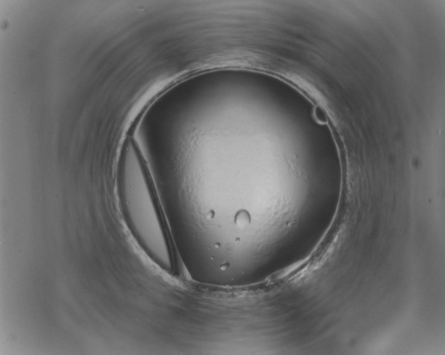 X0000068830949200605051233