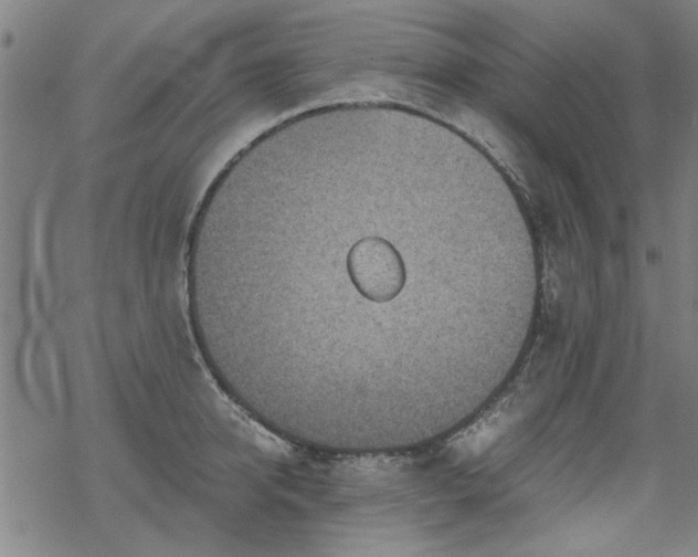 X0000068830950200605051233