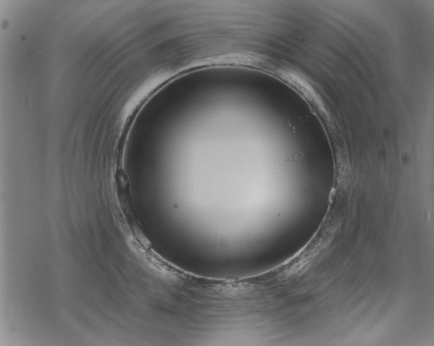 X0000068830952200605051233