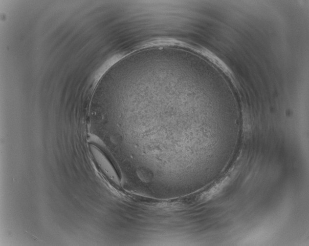 X0000068830953200605051233