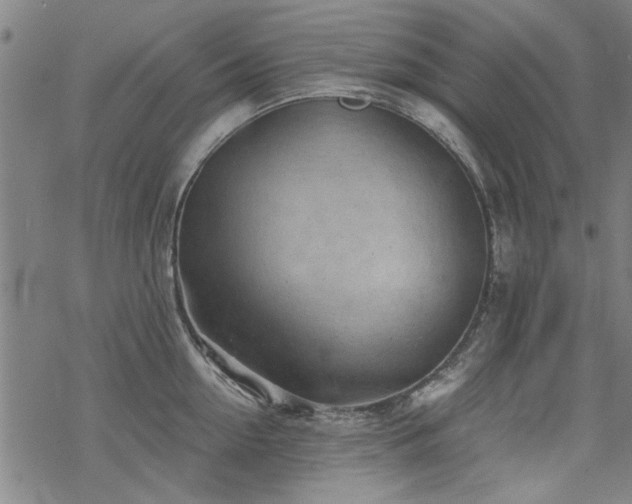 X0000068830954200605051233