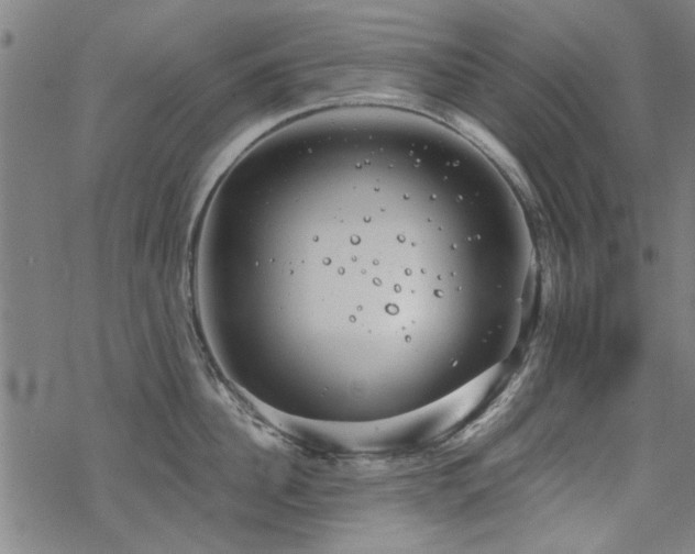 X0000068830956200605051233