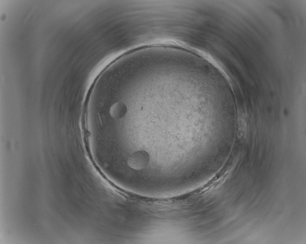 X0000068830959200605051233