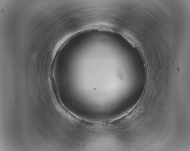 X0000068830960200605051233