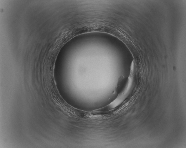 X0000068830961200605051232