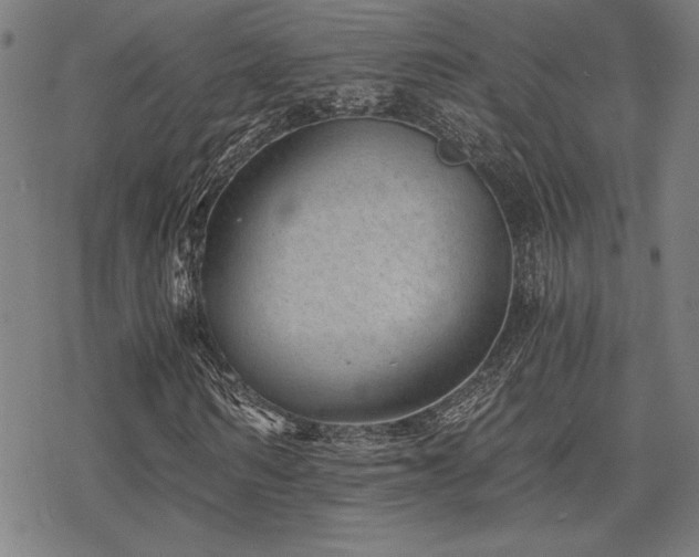 X0000068830962200605051232