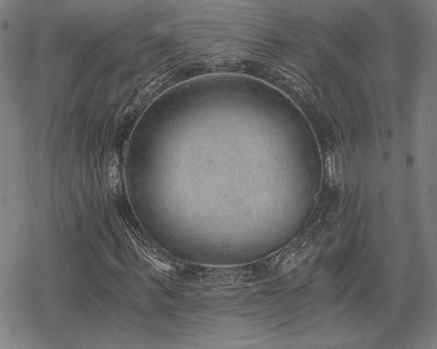 X0000068830963200605051232