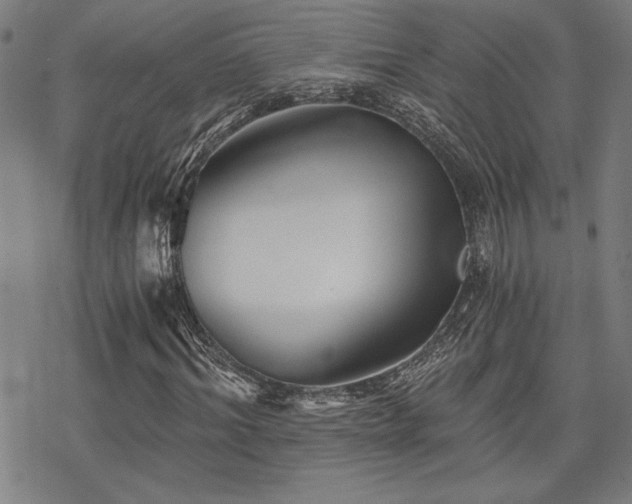 X0000068830964200605051232