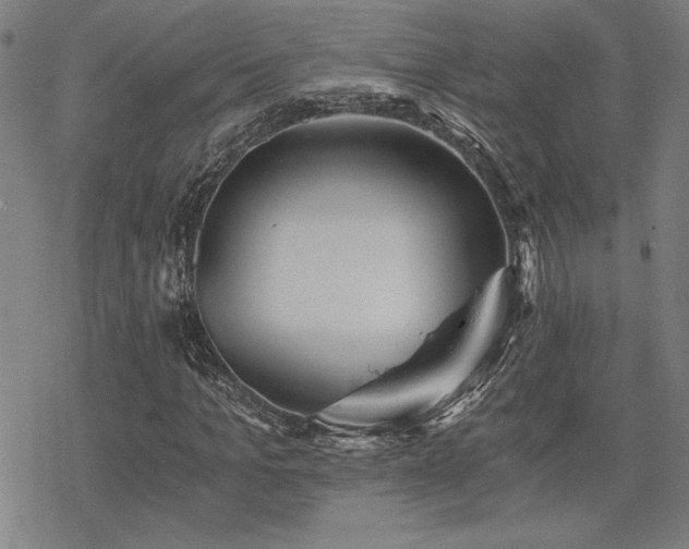 X0000068830965200605051232