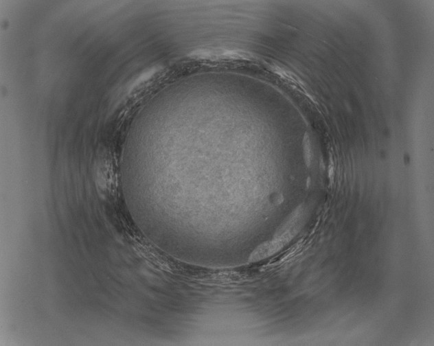 X0000068830966200605051232