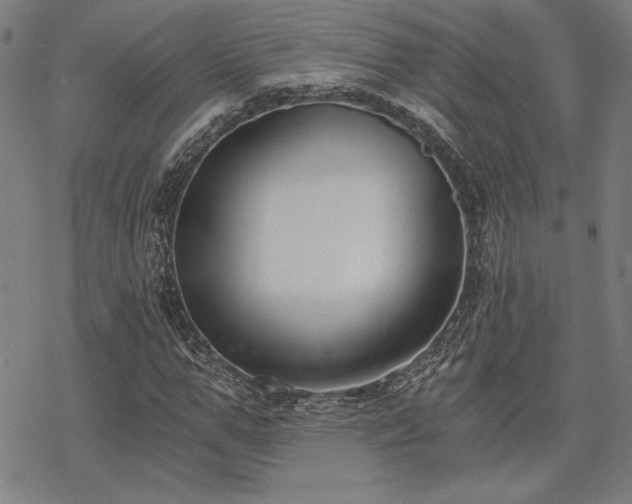 X0000068830967200605051232