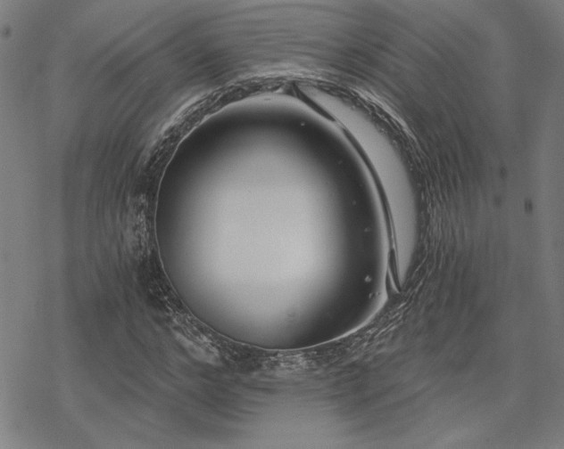 X0000068830968200605051232