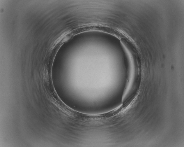 X0000068830969200605051232