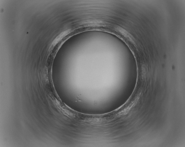 X0000068830970200605051232