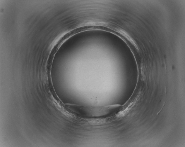 X0000068830972200605051232