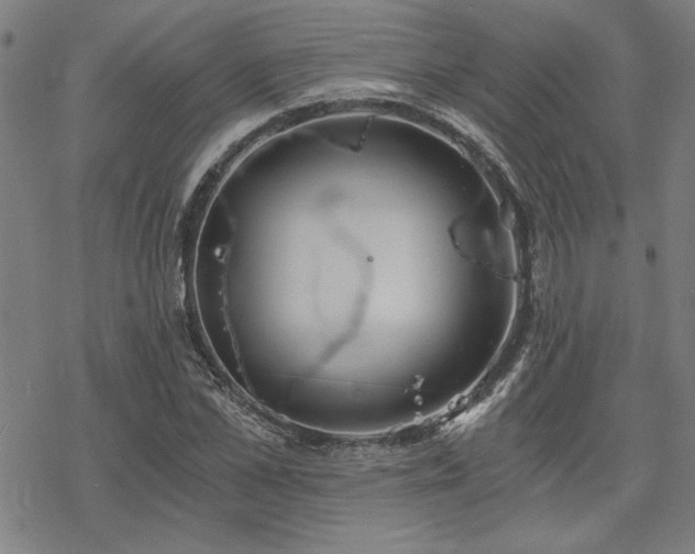 X0000068830973200605051232