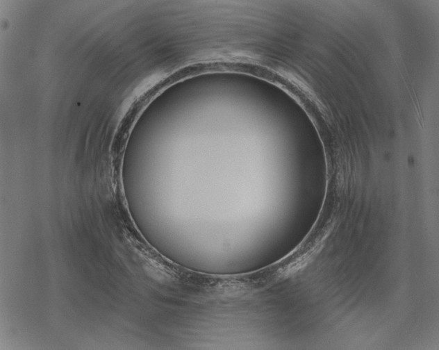 X0000068830974200605051232