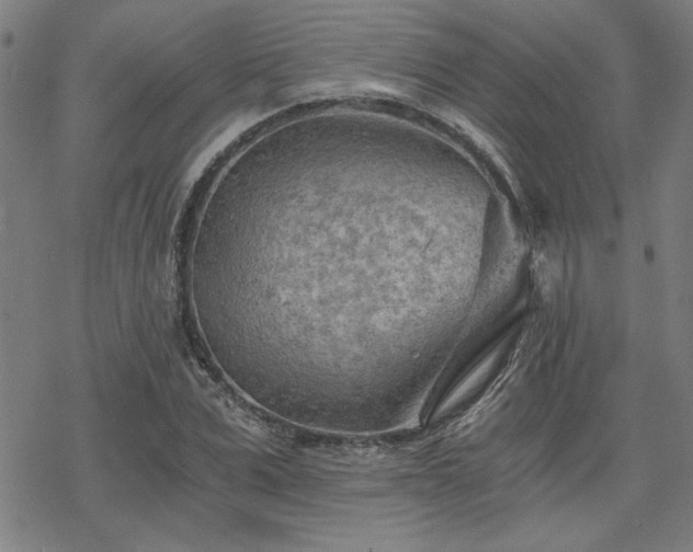 X0000068830975200605051232