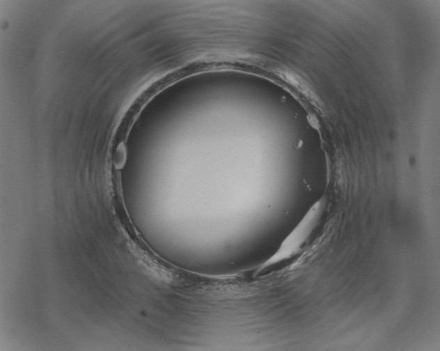 X0000068830976200605051232