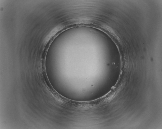 X0000068830978200605051232