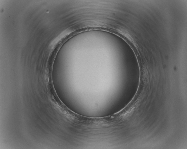 X0000068830979200605051232