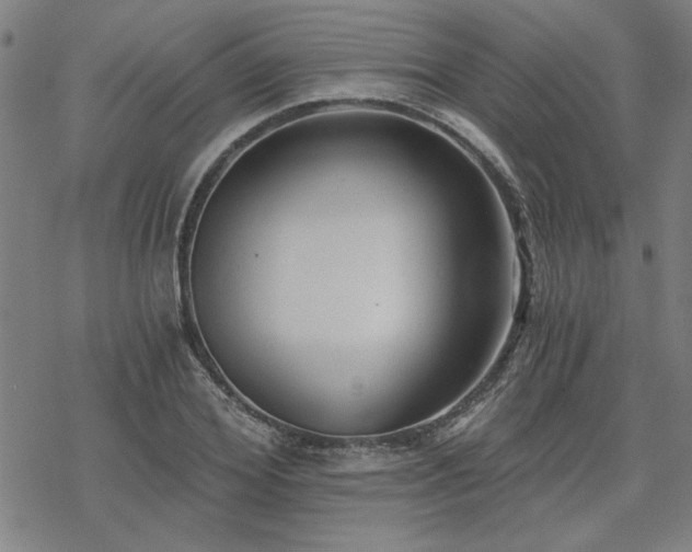 X0000068830980200605051232