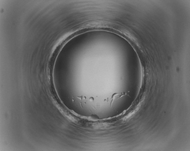 X0000068830981200605051232