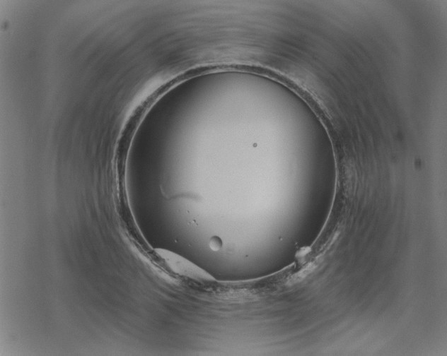 X0000068830982200605051232