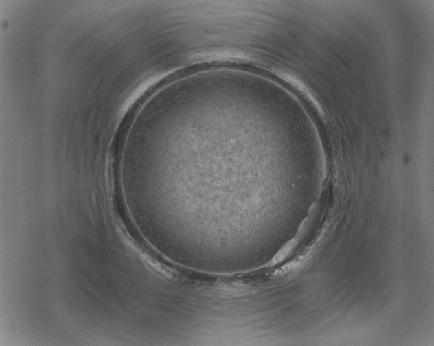 X0000068830983200605051232