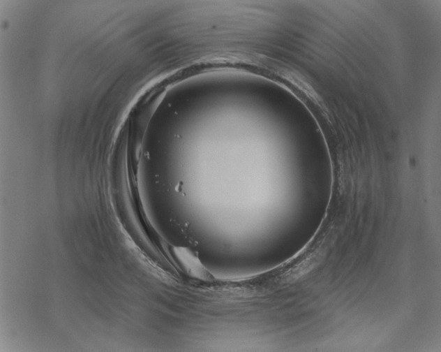 X0000068830984200605051232