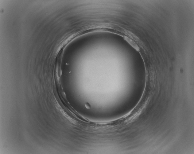 X0000068830985200605051232