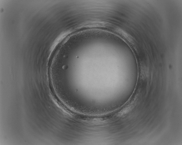 X0000068830986200605051232