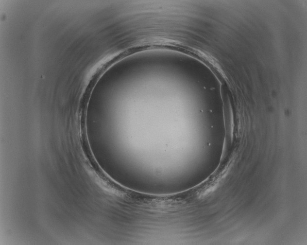 X0000068830987200605051232