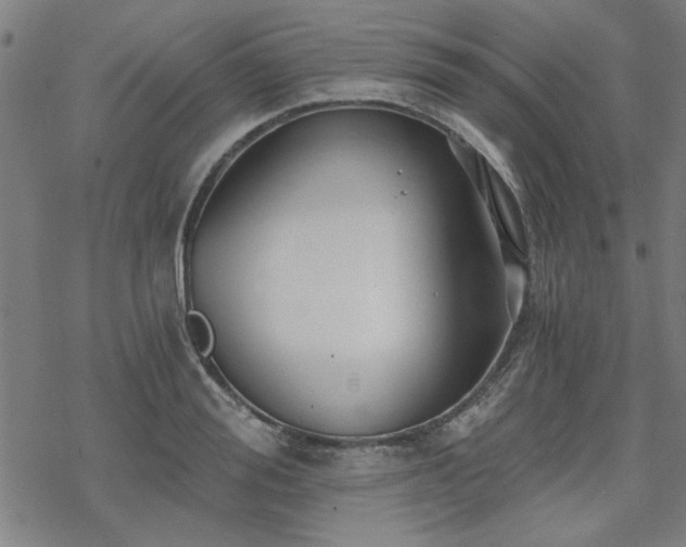 X0000068830988200605051232