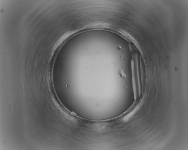 X0000068830989200605051232