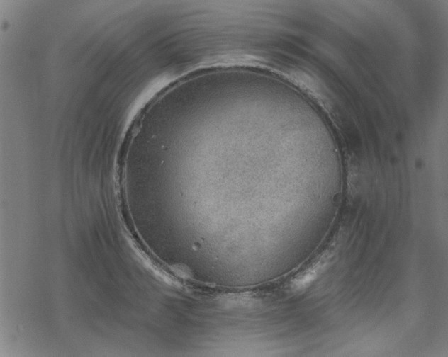 X0000068830990200605051232