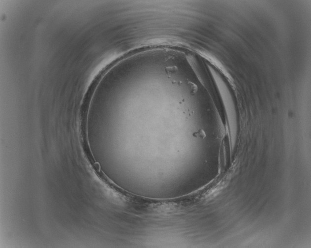 X0000068830991200605051232