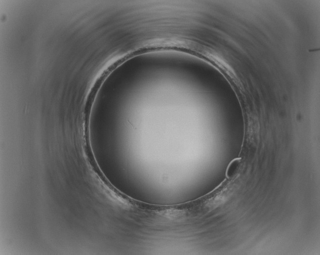 X0000068830992200605051232