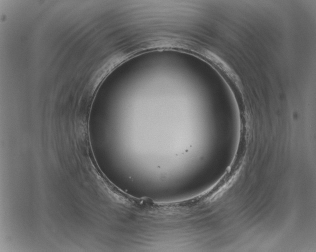 X0000068830993200605051232