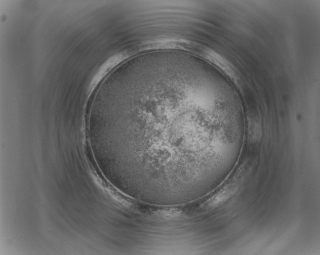 X0000068830994200605051232