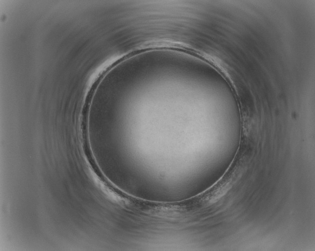 X0000068830995200605051232