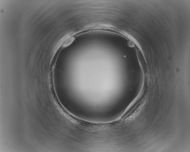 X0000068830997200605051231