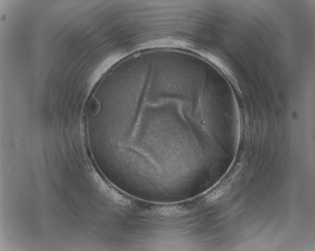 X0000068830998200605051231