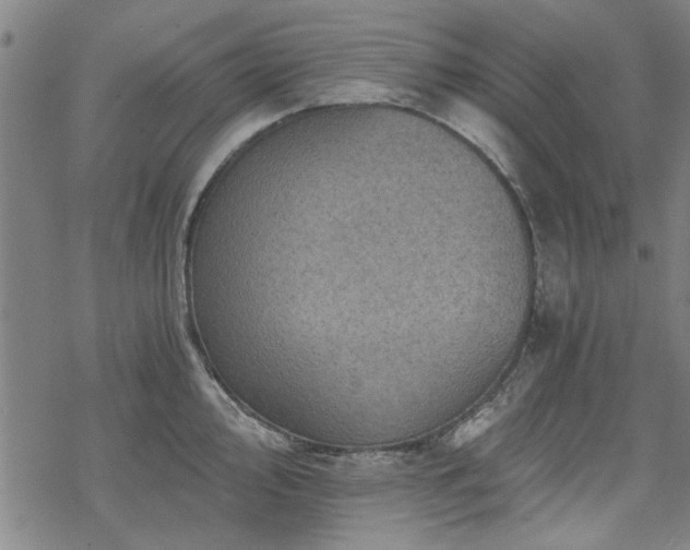 X0000068831000200605051231